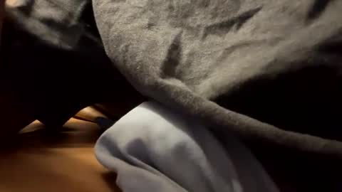 tRex online show from November 29, 2:25 am