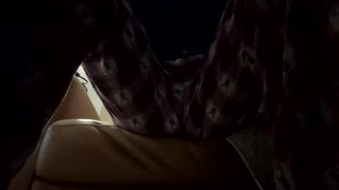 Snapshot of t265h chatting on December 14, 12:49 am tRex online show from December 14, 12:49 am