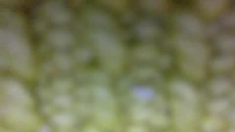 Snapshot of t__o__m__m__y__2323 chatting on May 29, 1:42 pm Prostate Orgazmer online show from May 29, 1:42 pm