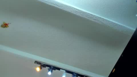 Snapshot of tafari_1 chatting on June 4, 11:16 am Tafari Zulu online show from June 4, 11:16 am