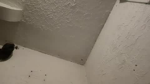 Snapshot of talenjames chatting on March 11, 1:26 am Talen James online show from March 11, 1:26 am