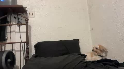 Snapshot of talenjames chatting on September 28, 10:26 pm Talen James online show from September 28, 10:26 pm