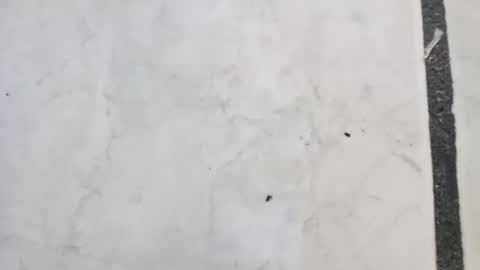 Snapshot of tall6feet7inch chatting on September 14, 11:42 am tall6feet7inch online show from September 14, 11:42 am