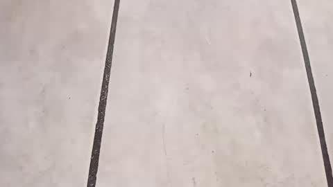 Snapshot of tall6feet7inch chatting on September 24, 10:29 am tall6feet7inch online show from September 24, 10:29 am