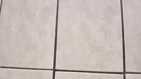 Snapshot of tall6feet7inch chatting on September 28, 8:03 pm tall6feet7inch online show from September 28, 8:03 pm