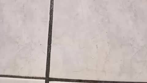 Snapshot of tall6feet7inch chatting on September 29, 8:41 am tall6feet7inch online show from September 29, 8:41 am