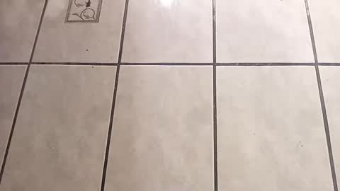 Snapshot of tall6feet7inch chatting on October 1, 9:04 am tall6feet7inch online show from October 1, 9:04 am