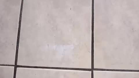 Snapshot of tall6feet7inch chatting on October 2, 9:27 am tall6feet7inch online show from October 2, 9:27 am