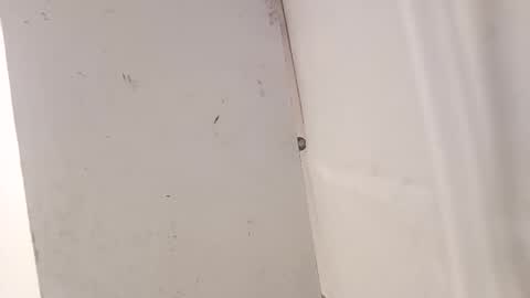 Snapshot of tall6feet7inch chatting on December 18, 7:36 am tall6feet7inch online show from December 18, 7:36 am