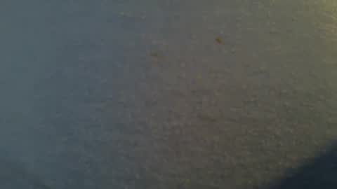 Snapshot of tallwxguy chatting on May 22, 6:13 pm tallwxguy online show from May 22, 6:13 pm