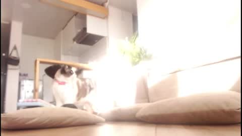 Tamara online show from September 14, 9:58 pm