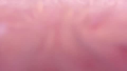 Tamy ian online show from January 31, 10:42 pm