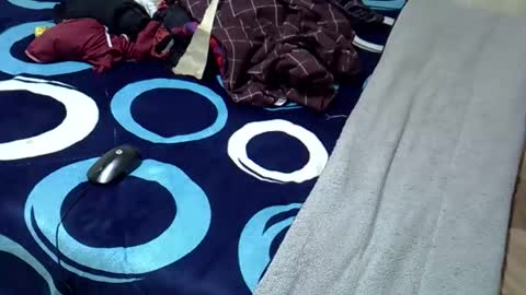 tastie_t online show from November 1, 6:04 am