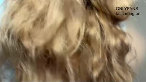 Tata online show from November 23, 4:45 am