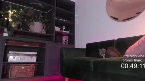 Snapshot of tattoo_ninja_kitty chatting on December 2, 10:23 pm Nathalie Hardy online show from December 2, 10:23 pm