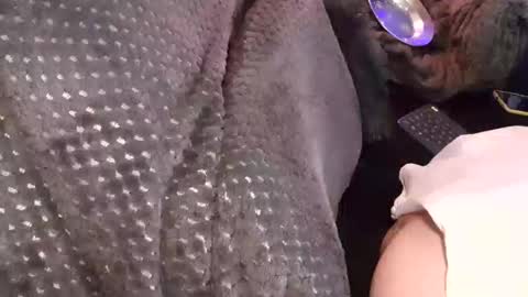 Jean pool online show from December 17, 3:45 am