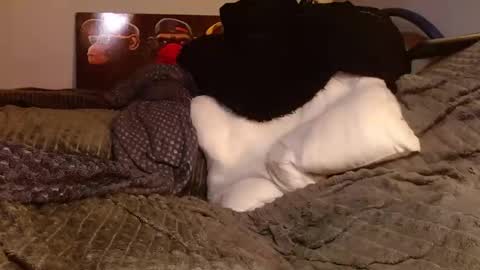 Jean pool online show from March 28, 5:45 pm