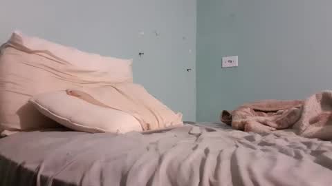 Snapshot of taulerfox chatting on November 22, 5:28 am Caito online show from November 22, 5:28 am