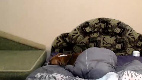 Taya online show from February 4, 11:27 pm