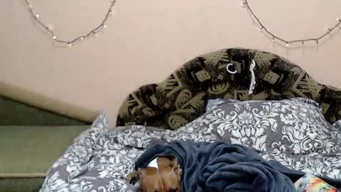 Taya online show from January 5, 8:34 pm