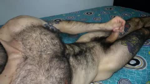 Taylor online show from February 3, 6:40 am