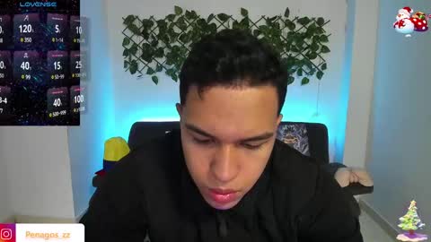 Penagos zz    online show from January 2, 2:13 pm