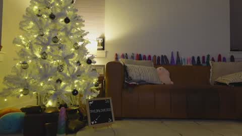 Taylor --  online show from December 21, 12:40 am