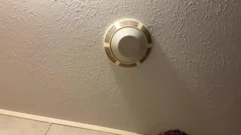 Snapshot of tbeebe12 chatting on October 27, 10:58 pm Lilbeebs online show from October 27, 10:58 pm