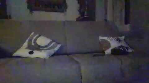 Snapshot of tchoop64 chatting on December 21, 8:27 pm tchoop64 online show from December 21, 8:27 pm