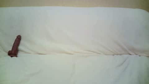 teach4kitty online show from September 29, 7:30 pm