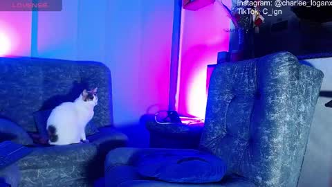 Charlee He online show from June 7, 2:59 am