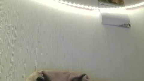 Peter online show from July 8, 8:46 pm