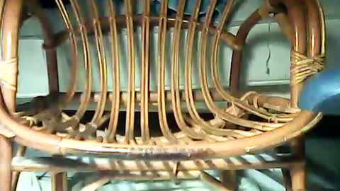 Snapshot of telecommandedu26 chatting on February 7, 11:23 am telecommandedu26 online show from February 7, 11:23 am