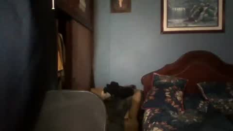 Snapshot of tender_eldelatienda chatting on July 22, 12:35 am Fabio Canavaro online show from July 22, 12:35 am