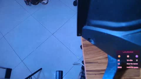 Snapshot of terraelowen chatting on October 28, 11:25 am Terra Elowen online show from October 28, 11:25 am