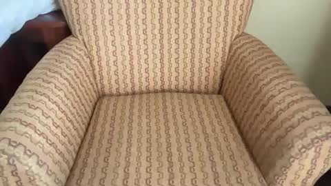 Tev online show from March 23, 3:05 pm