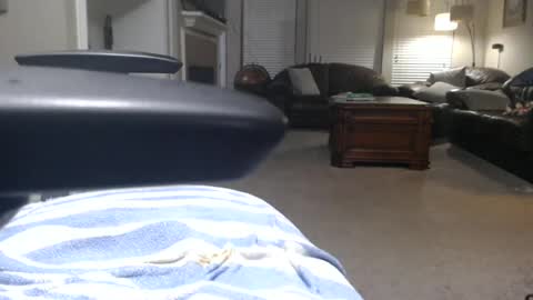 texasmale53 online show from June 19, 2:38 am
