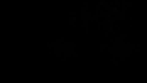 CJ online show from March 2, 5:08 am