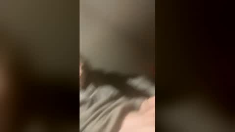 thebirdman1902 online show from April 22, 9:44 am