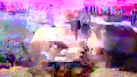 theflash223 online show from October 14, 2:29 pm