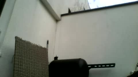 theforkliftman online show from March 22, 12:41 pm