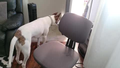 thekodyy online show from November 15, 12:56 pm