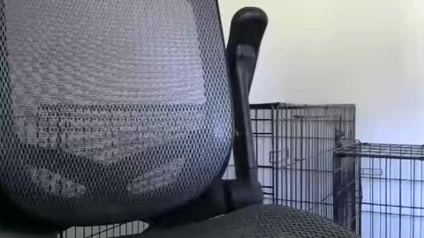 themaneb online show from October 23, 2:49 pm