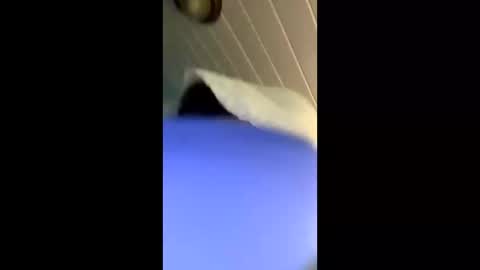 theonlyboi43ver online show from November 4, 3:33 pm