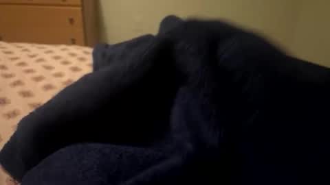 Snapshot of theplummer99 chatting on December 4, 9:29 am theplummer99 online show from December 4, 9:29 am