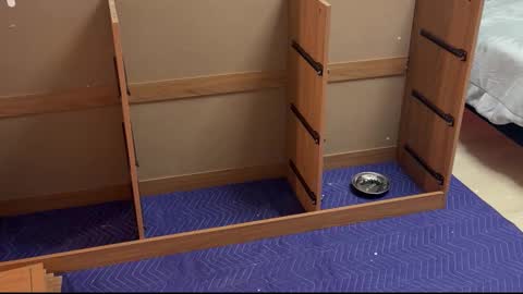 Snapshot of therealdylansdick chatting on November 15, 12:41 am therealdylansdick online show from November 15, 12:41 am