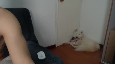 Snapshot of thesaint_xxx chatting on November 8, 8:07 pm thesaint_xxx online show from November 8, 8:07 pm