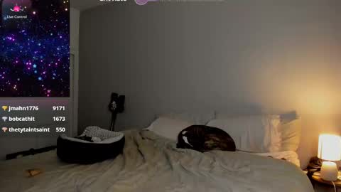 Snapshot of theselina_kyle chatting on January 24, 8:13 am Selina Kyle online show from January 24, 8:13 am