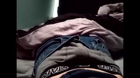 Snapshot of theturtleshead chatting on January 23, 11:05 pm theturtleshead online show from January 23, 11:05 pm