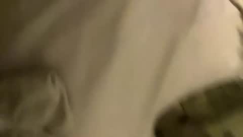throbbinrobin335 online show from August 2, 4:44 am